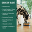 Dogzymes Bloat Buster Concentrate Liquid