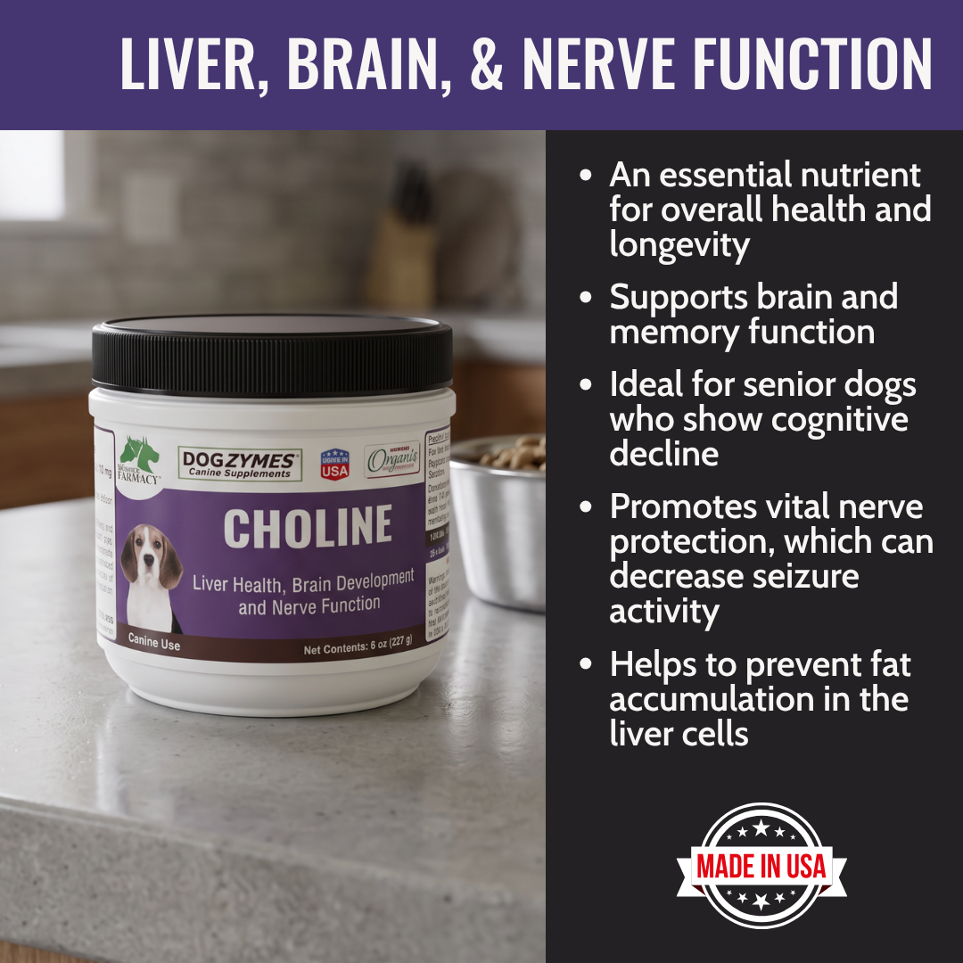 Dogzymes Choline