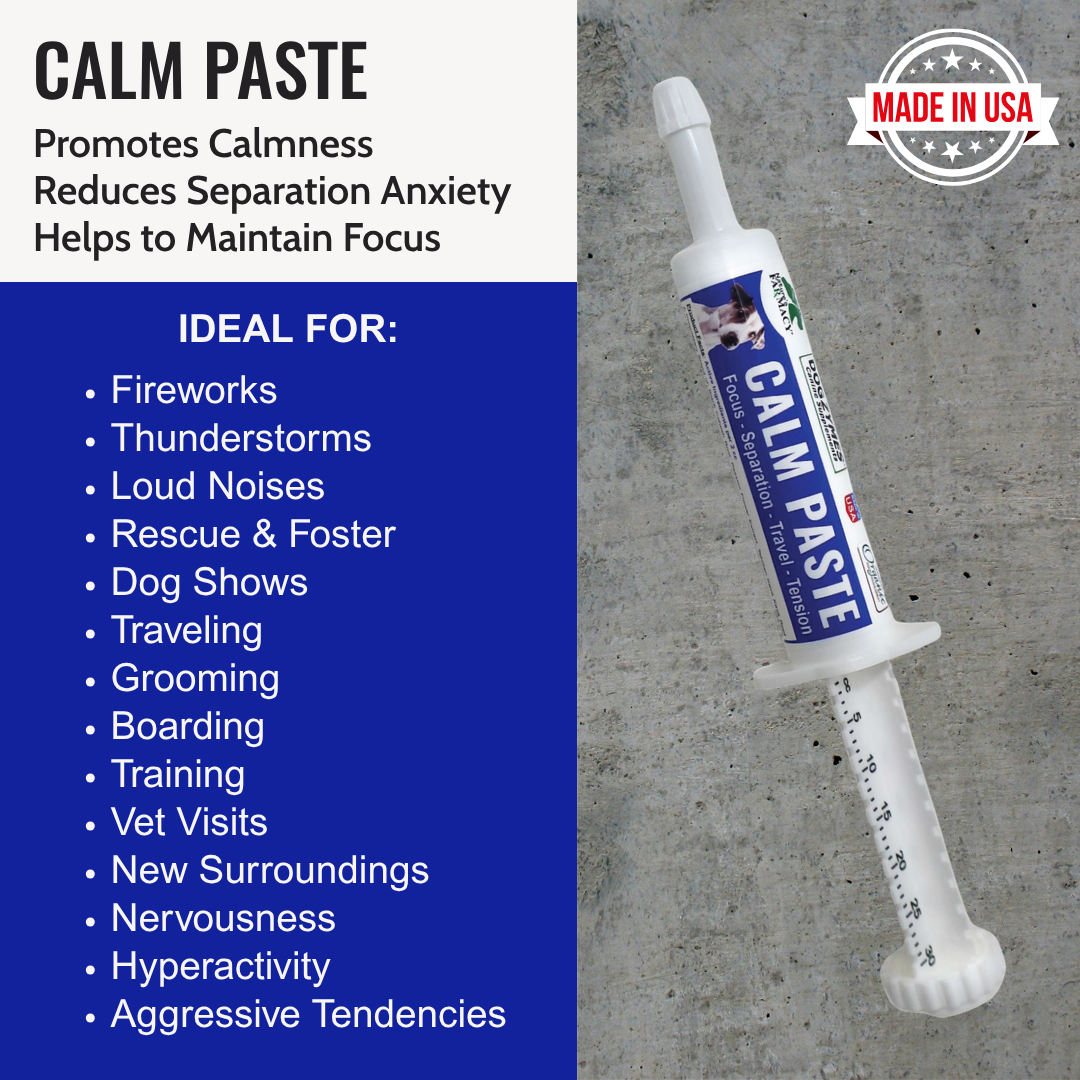 Dogzymes Calm Paste
