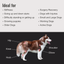 Dogzymes Bone and Joint