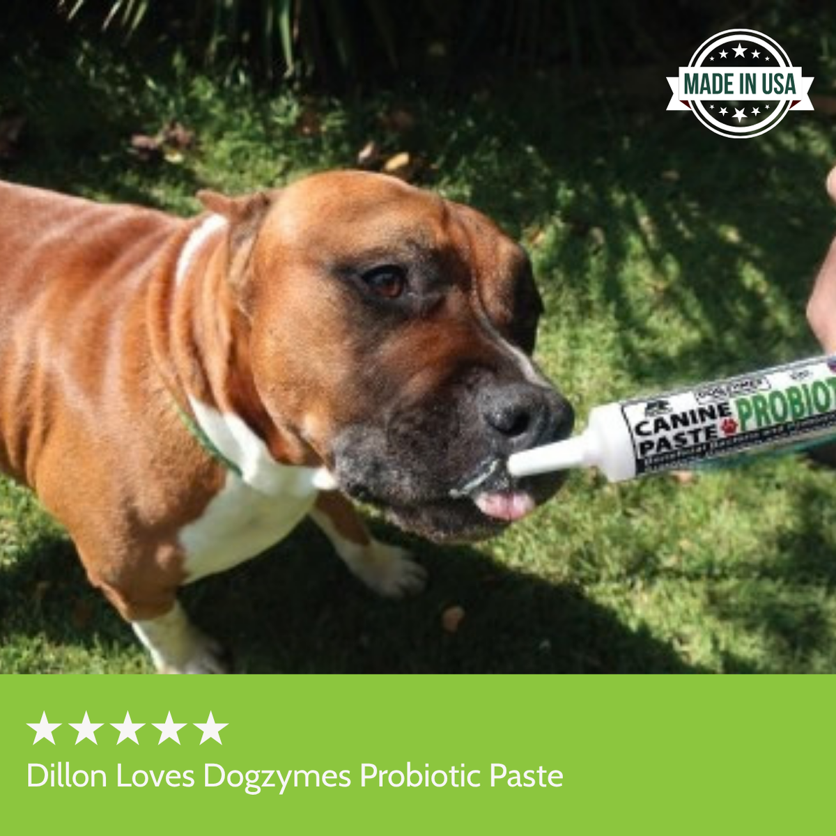 Dogzymes Canine Probiotic Paste Show Pack  5 Tubes (Buy 4/Get 1 Free)