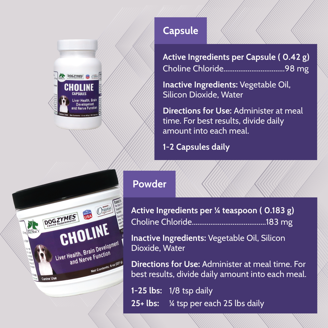 Dogzymes Choline