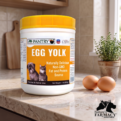 Pantry Egg Yolk Powder