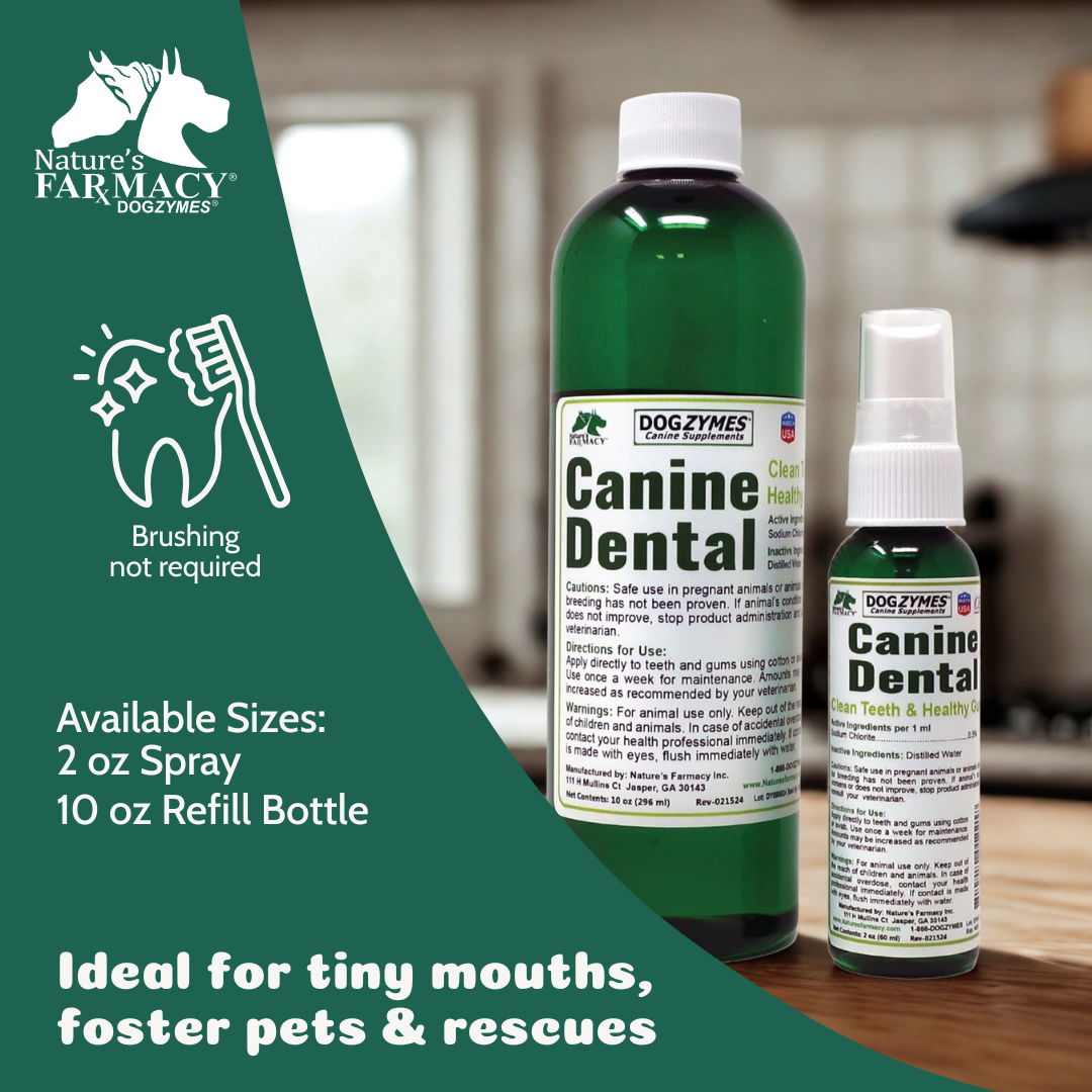Dogzymes Canine Dental Formula