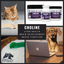 Dogzymes Choline
