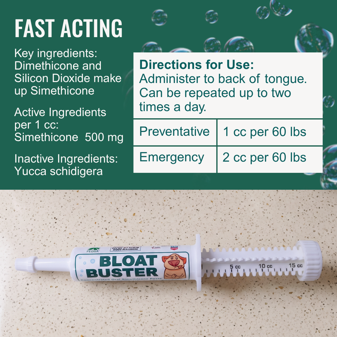 Dogzymes Bloat Buster Paste
