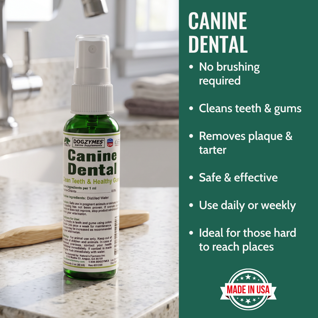 Dogzymes Canine Dental Formula