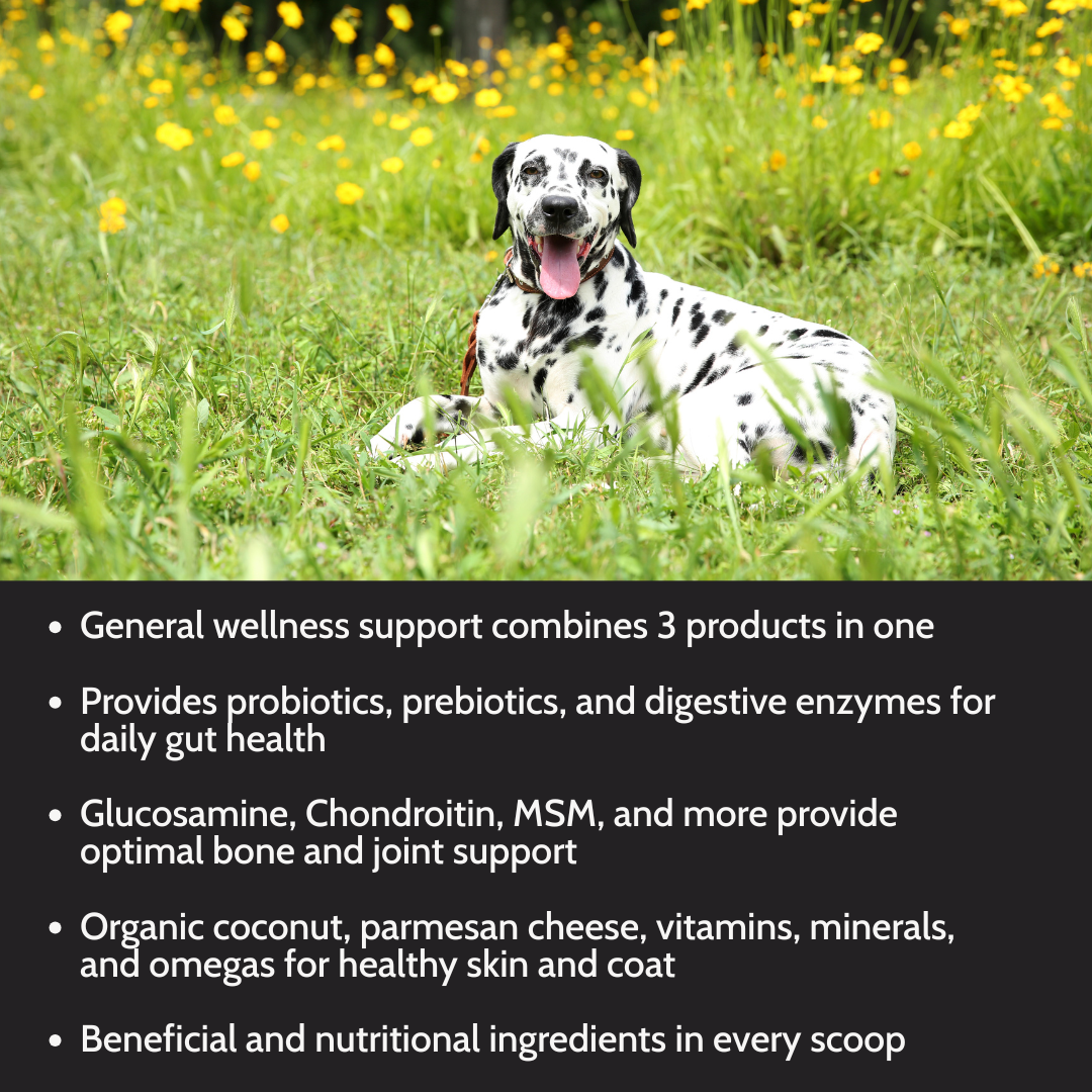 Dogzymes Complete