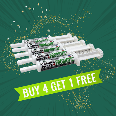 Dogzymes Canine Probiotic Paste Show Pack  5 Tubes (Buy 4/Get 1 Free)