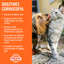 Dogzymes Cornucopia