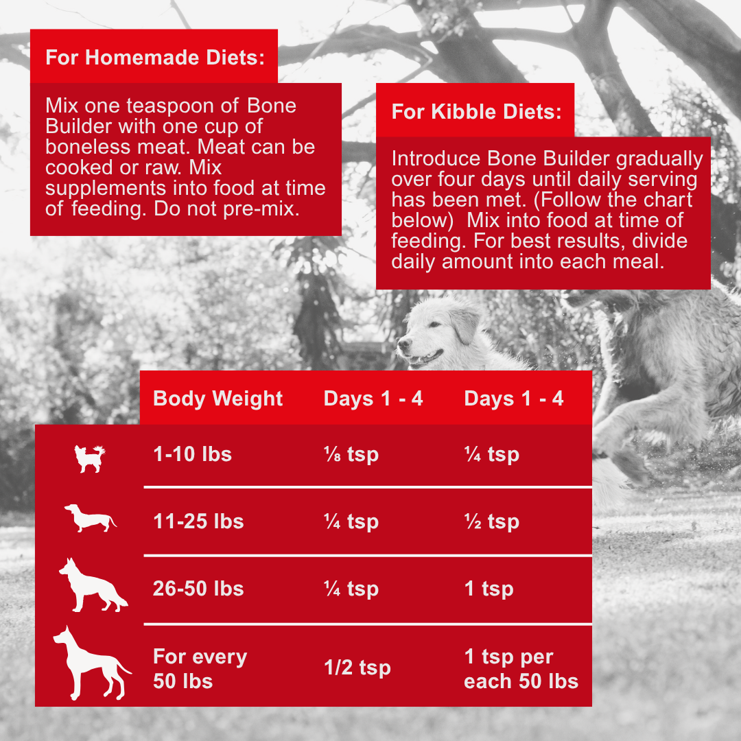 Dogzymes Bone Builder