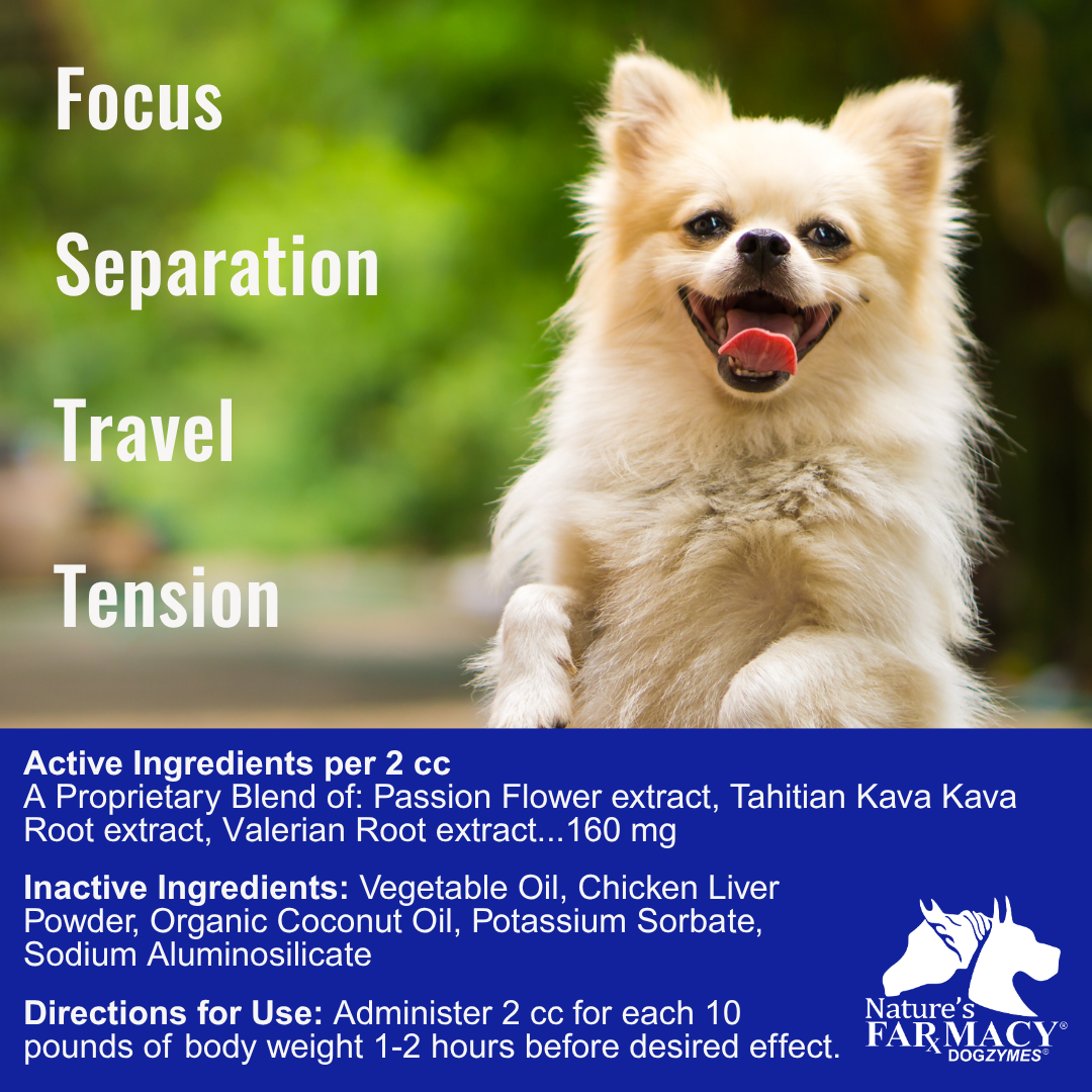 Dogzymes Calm Paste