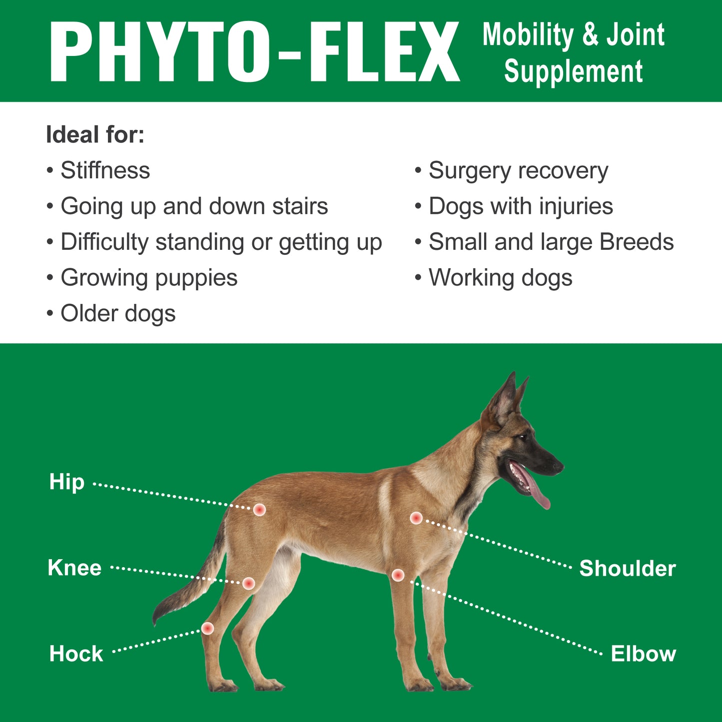 Dogzymes Phyto-Flex®