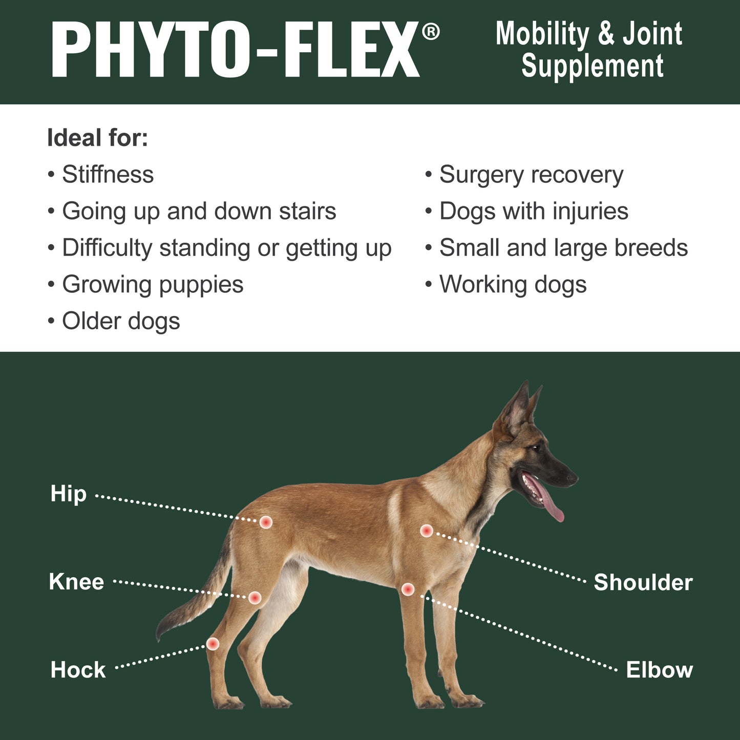 Dogzymes Phyto-Flex®