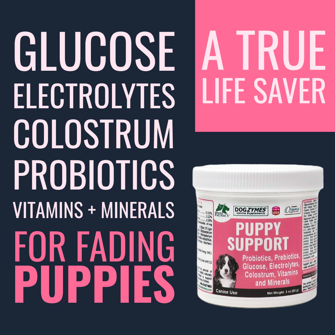 Puppy Support for Fading Puppies