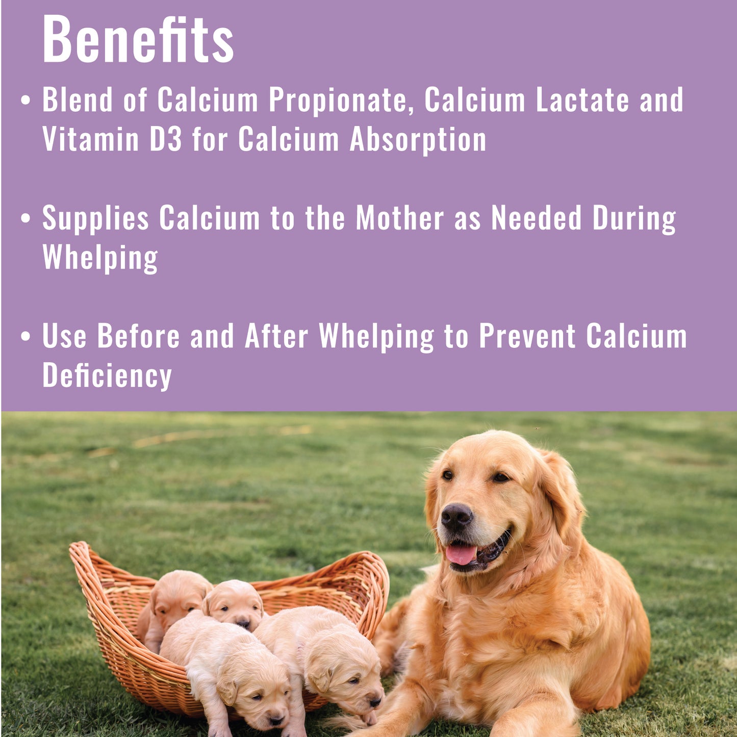 Canine Whelping Calcium Paste