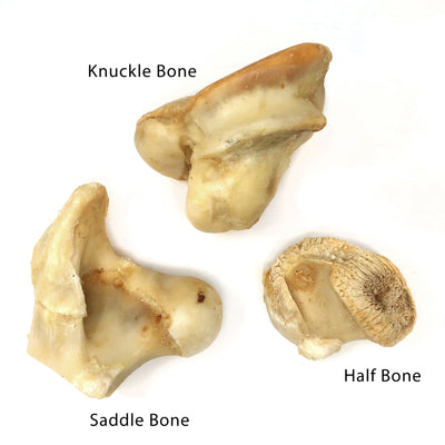 Knuckle Bone - Chew and Dental Tool