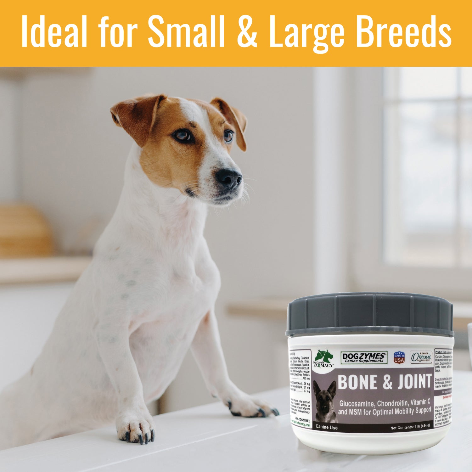 Dogzymes Bone and Joint – Nature's Farmacy