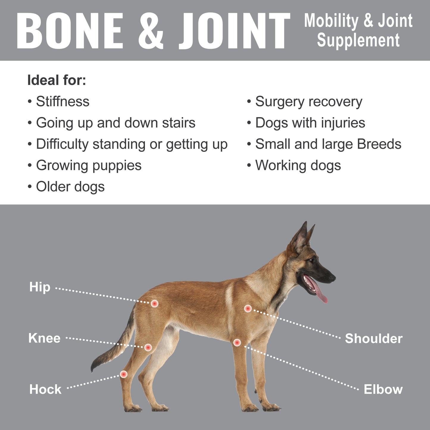 Dogzymes Bone and Joint