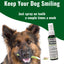 Dogzymes Canine Dental Formula