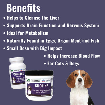 Dogzymes Choline