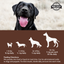 Dogzymes Probiotic Daily Balance® Liver and Egg Base