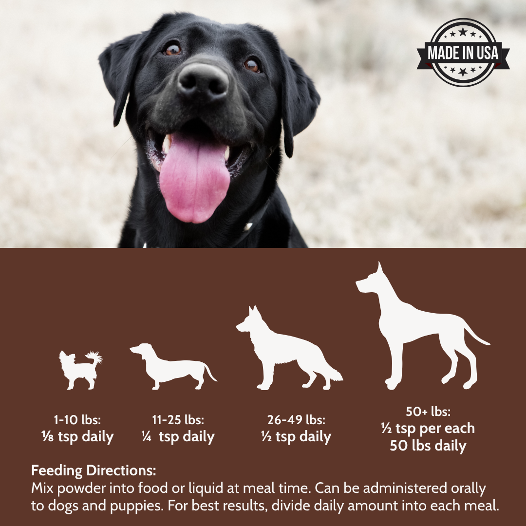 Dogzymes Probiotic Daily Balance® Liver and Egg Base