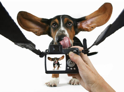 🎁 Our FREE Holiday Gift to You! 2025 Nature's Farmacy Customer Photo Calendar (100% off)