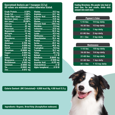 Dogzymes Organic Norwegian Kelp