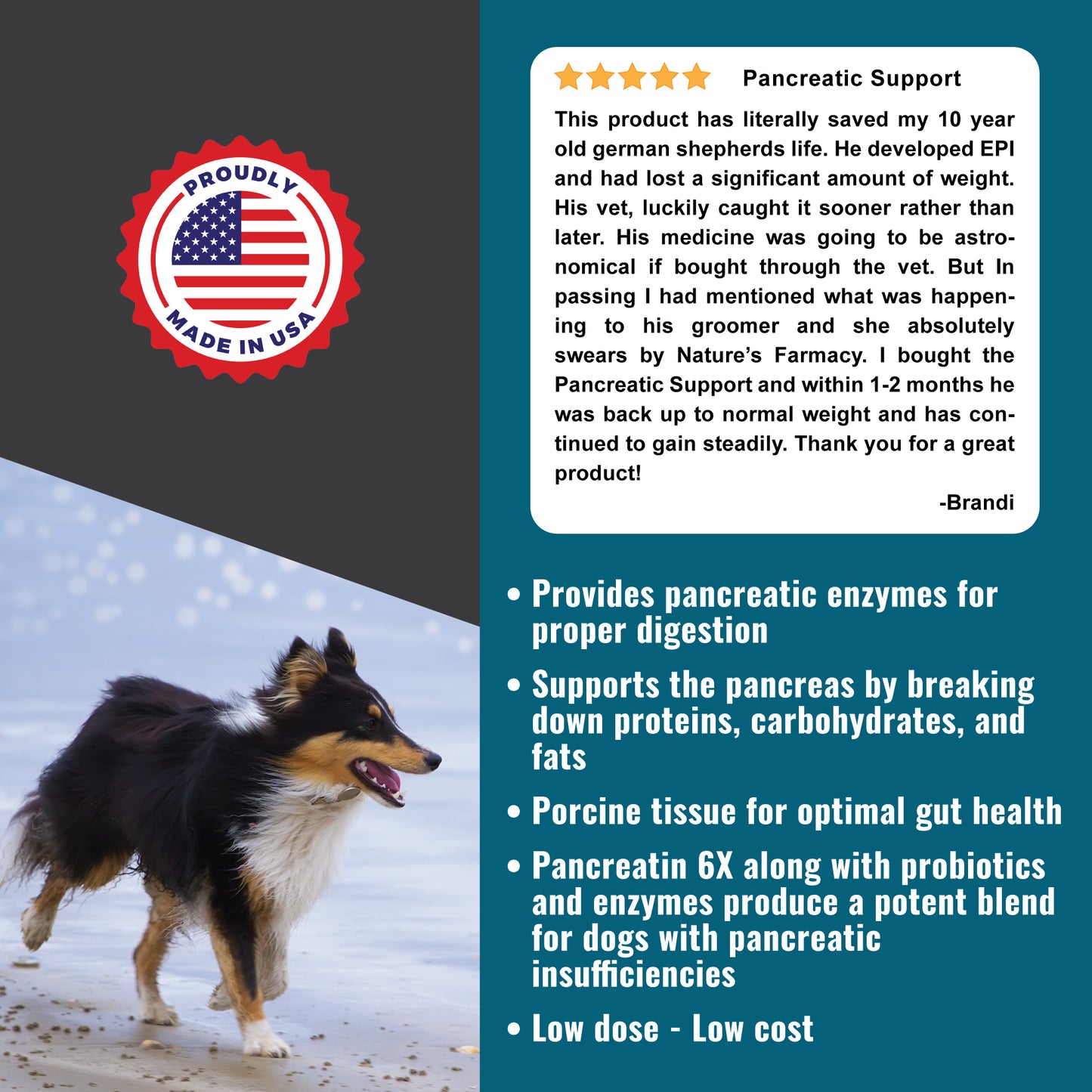 Dogzymes Pancreas Support