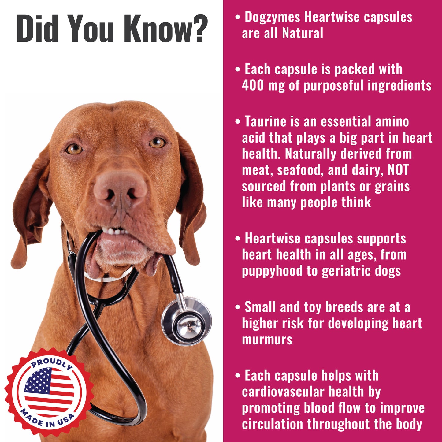 Dogzymes Heartwise Capsules