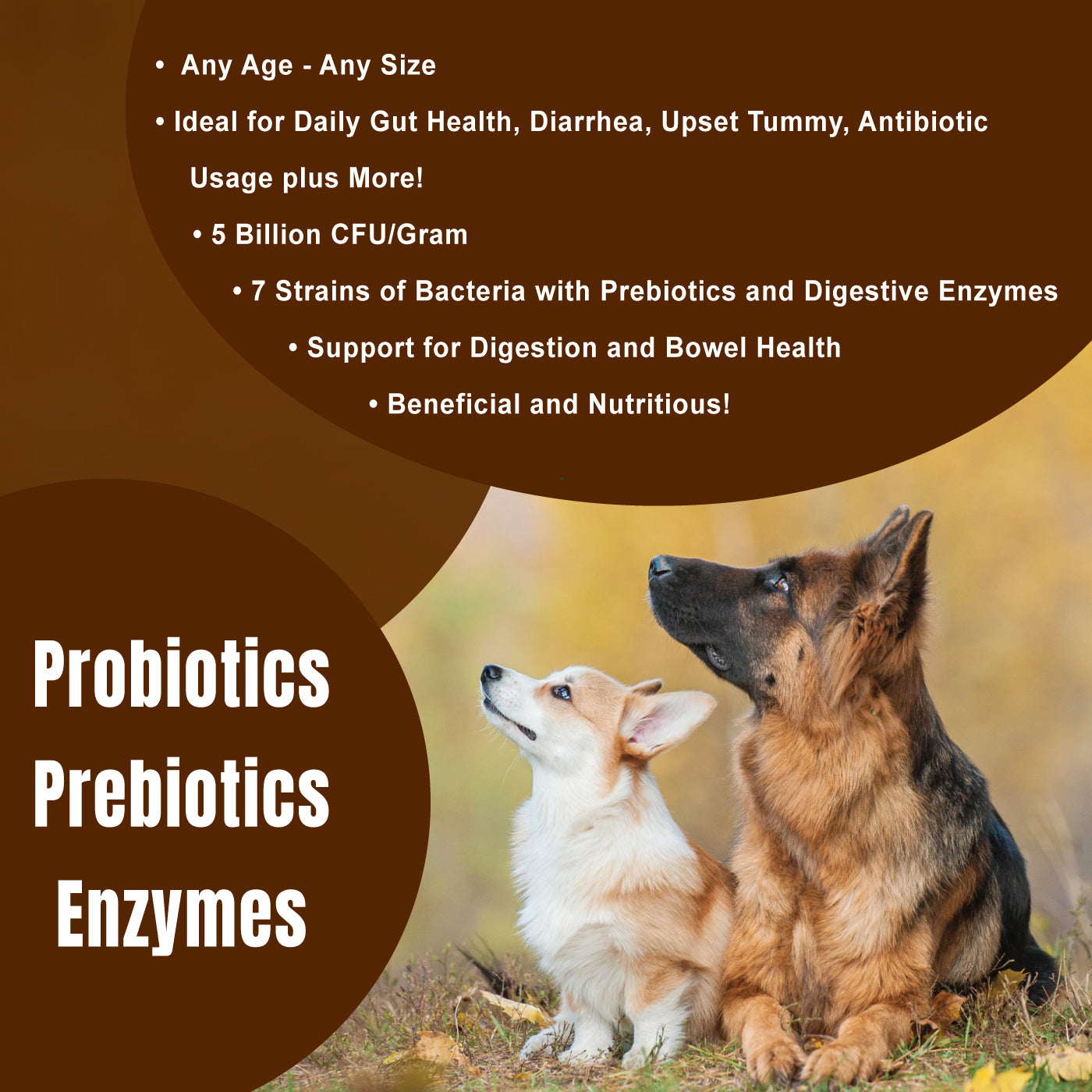 Dogzymes Probiotic Daily Balance Liver and Egg Base