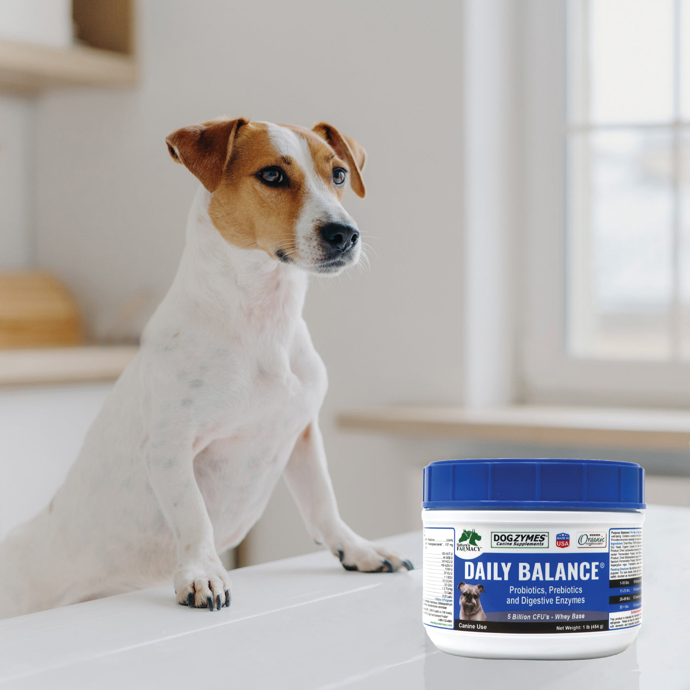 Dogzymes Probiotic Daily Balance Whey Base