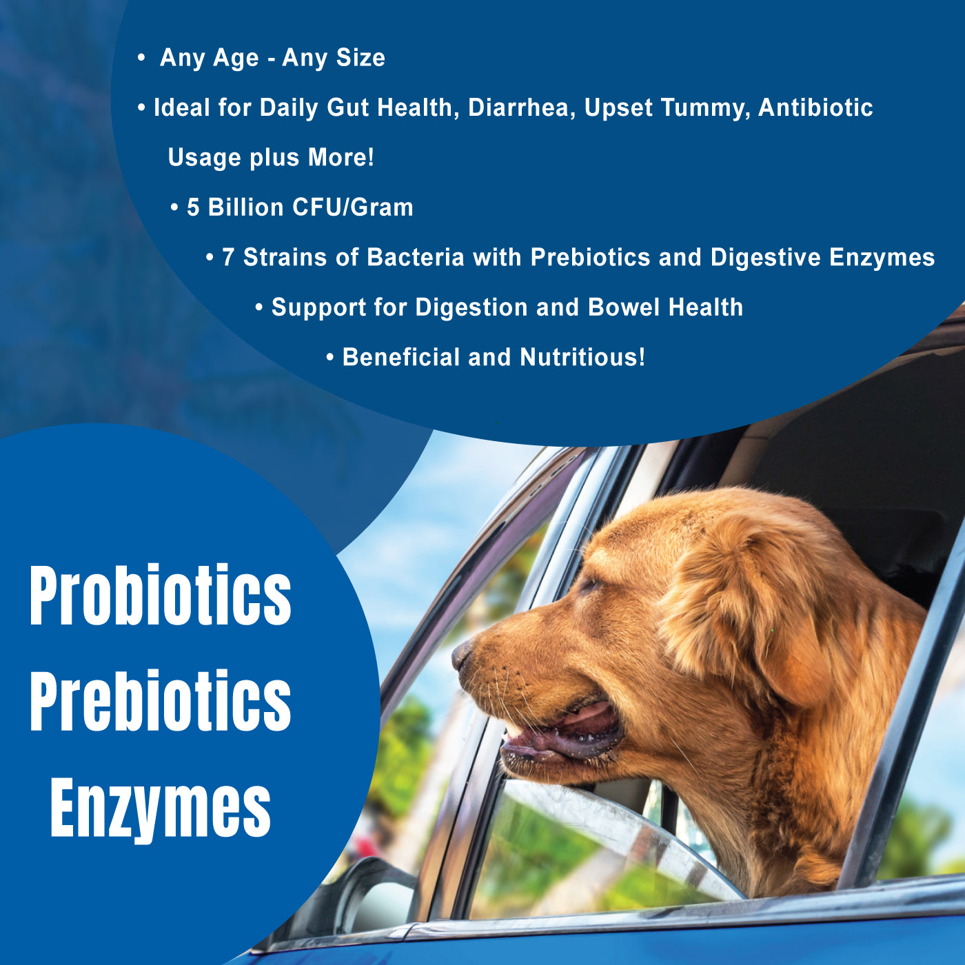 Dogzymes Probiotic Daily Balance® Whey Base – Nature's Farmacy