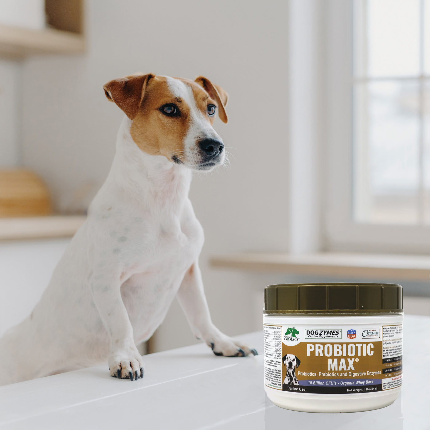 Dogzymes Probiotic Max Nature s Farmacy