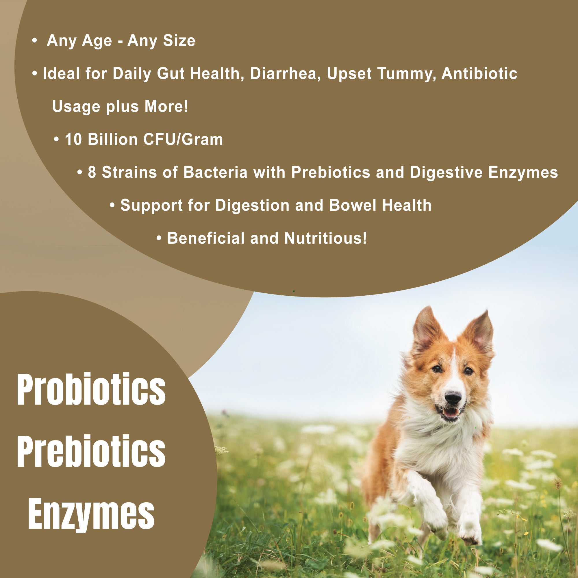 Dogzymes Probiotics - support a healthy gut – Nature's Farmacy