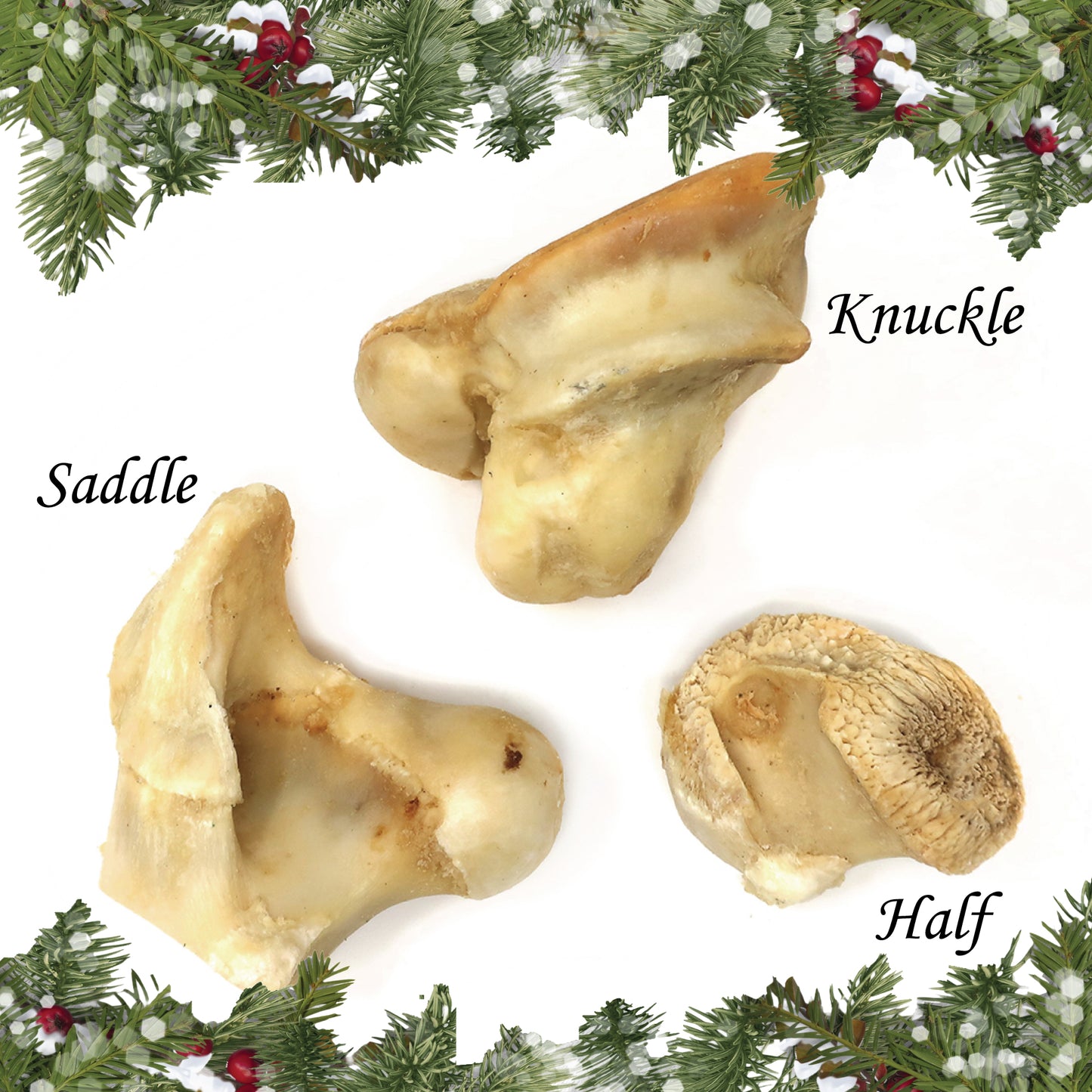 Knuckle Bone - Chew and Dental Tool