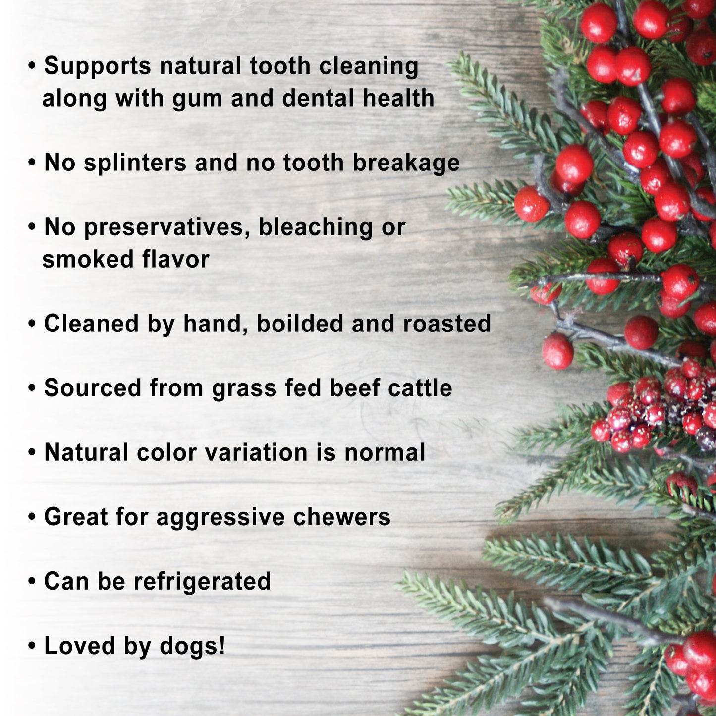 Knuckle Bone - Chew and Dental Tool