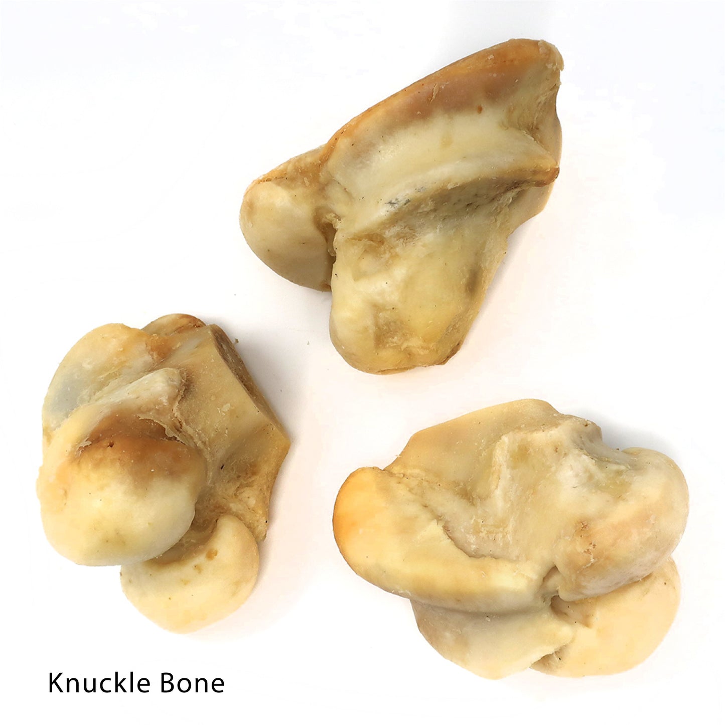 Knuckle Bone - Chew and Dental Tool