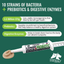 Dogzymes Canine Probiotic Paste Show Pack  5 Tubes (Buy 4/Get 1 Free)