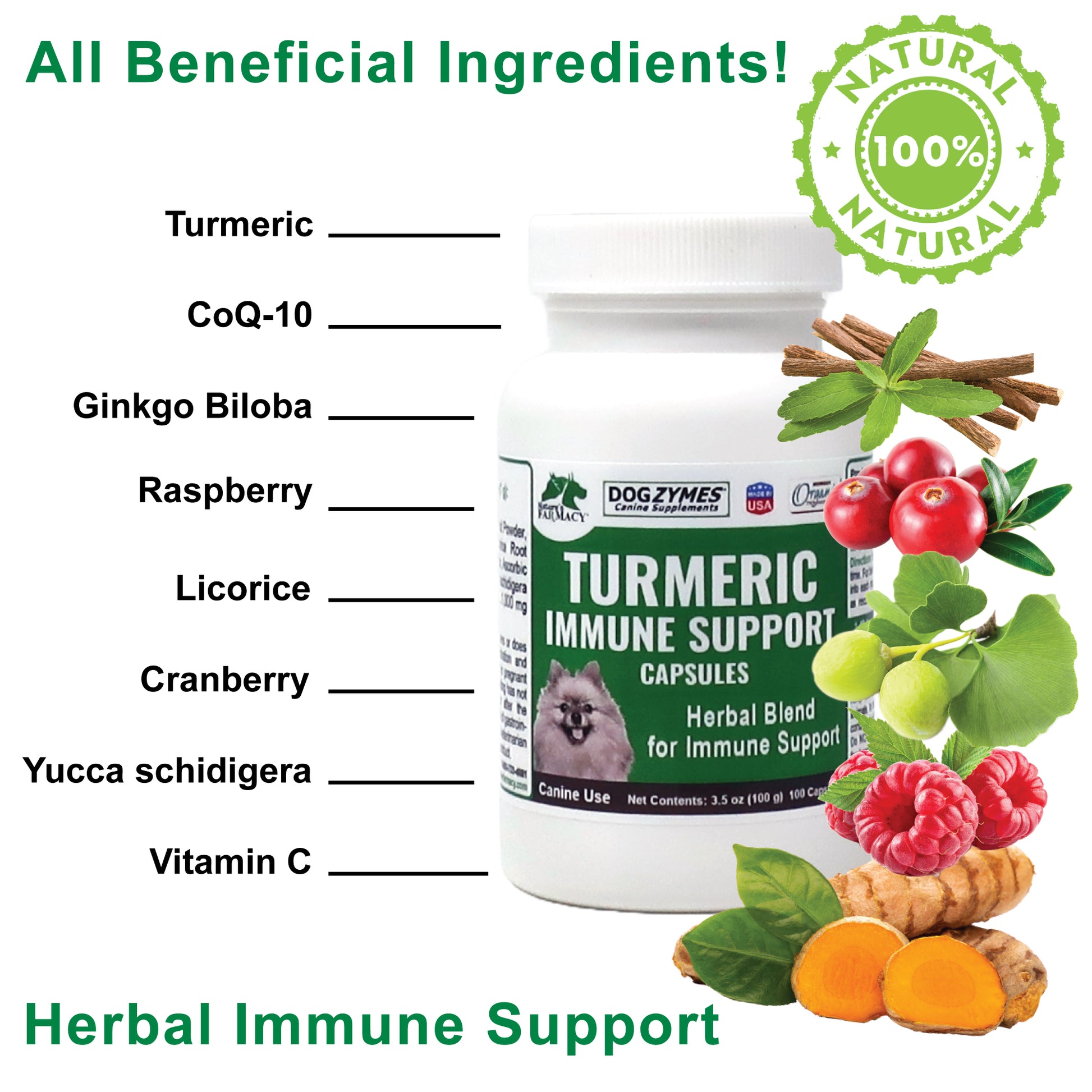 Dogzymes Turmeric Immune Support Capsules – Nature's Farmacy