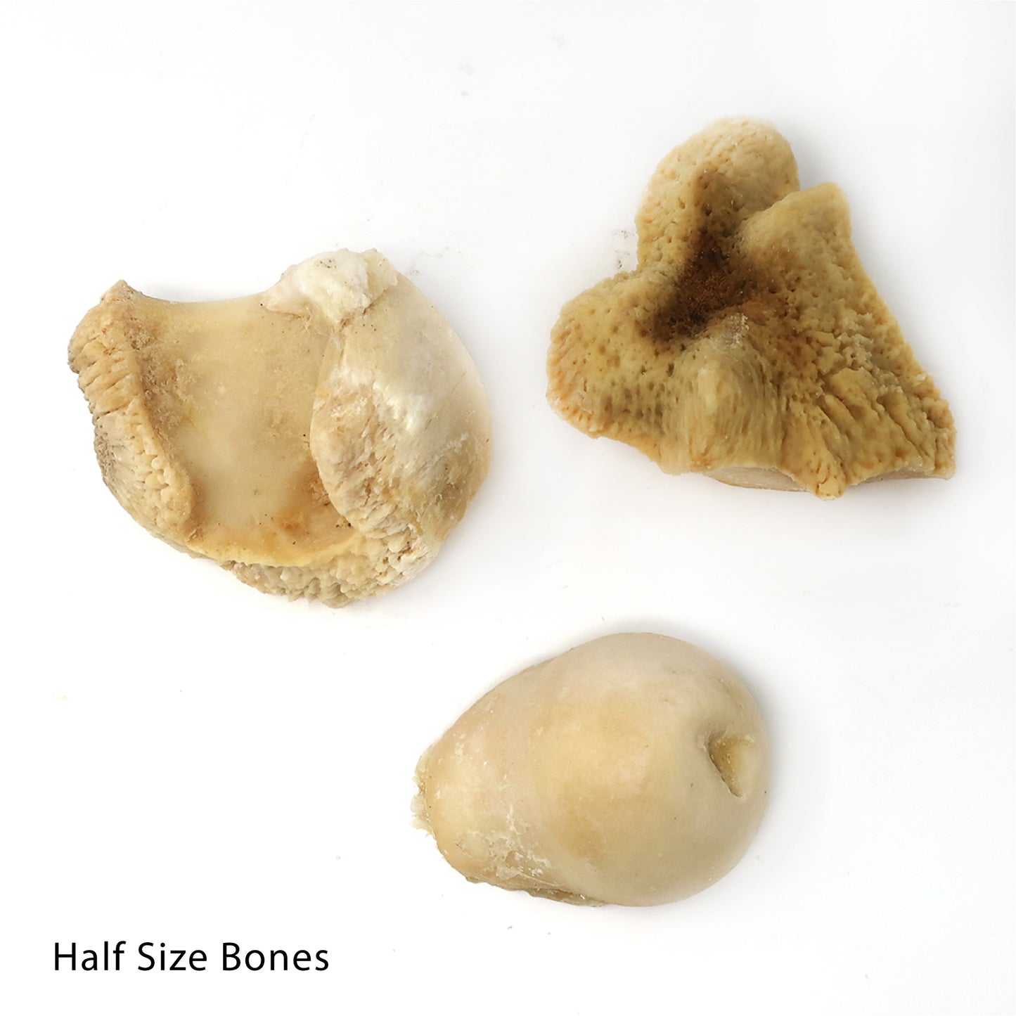 Knuckle Bones  - Chew and Dental Tool