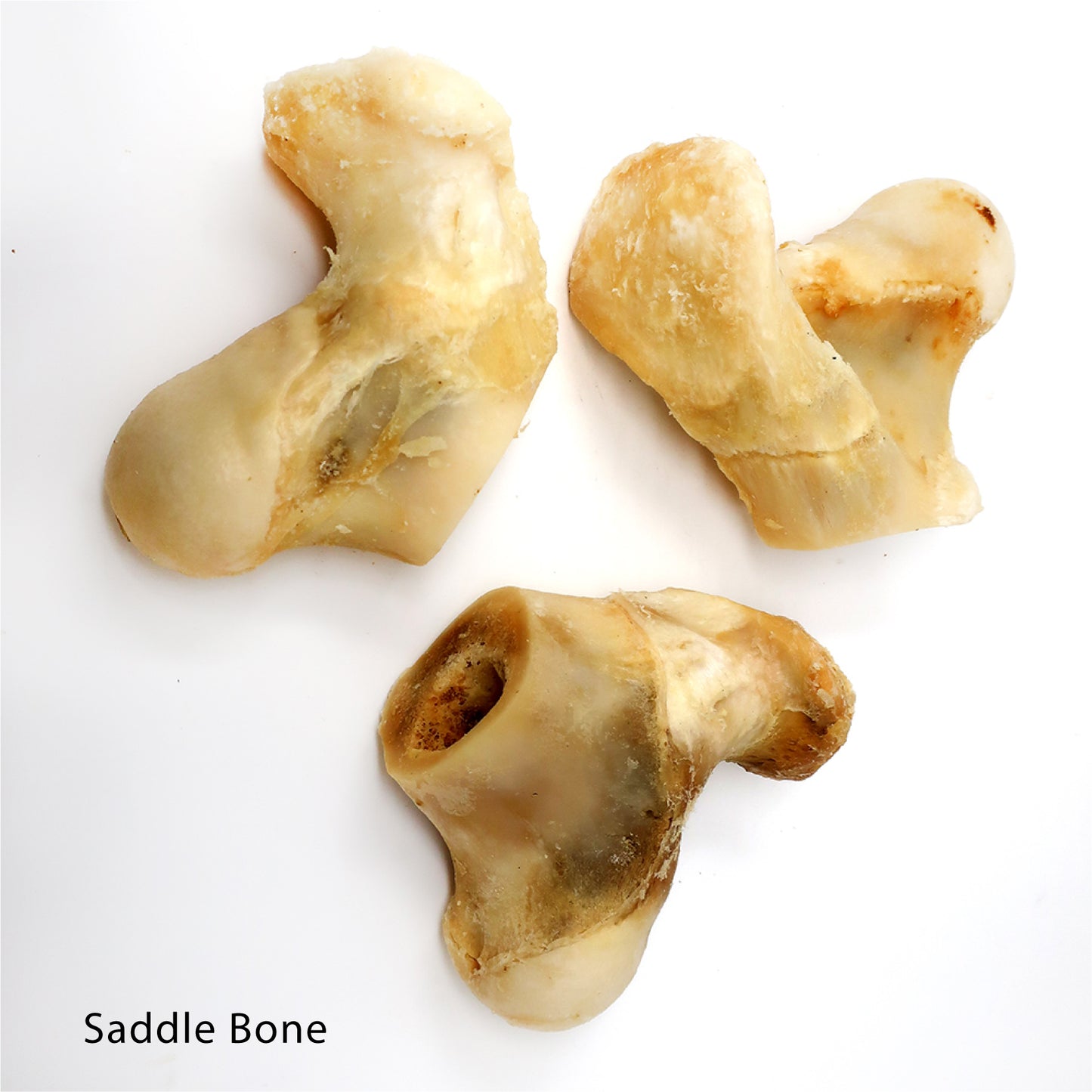 Knuckle Bone - Chew and Dental Tool