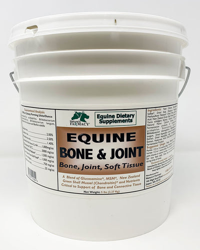 Equine Bone & Joint