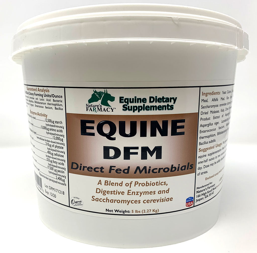 Equine DFM (Direct Fed Microbial)