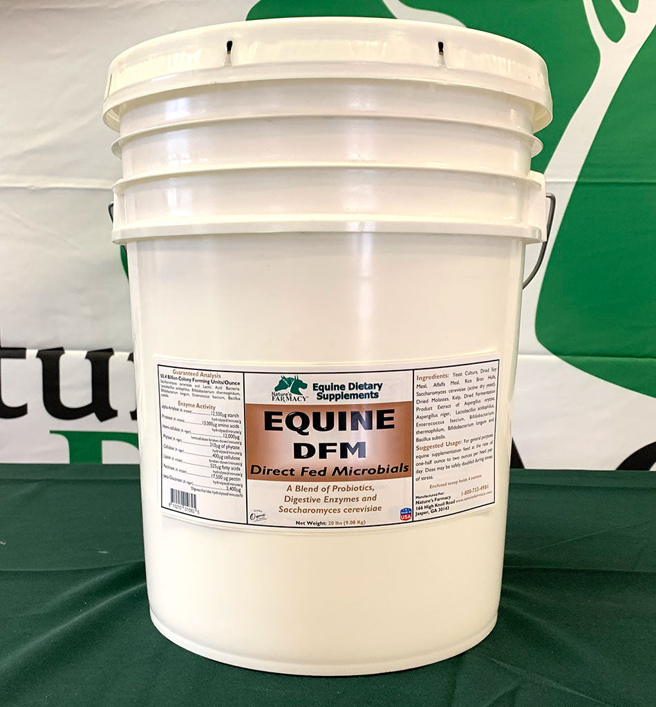 Equine DFM (Direct Fed Microbial)