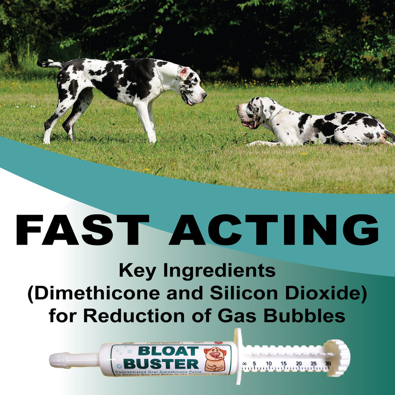 Dogzymes Bloat Buster Paste