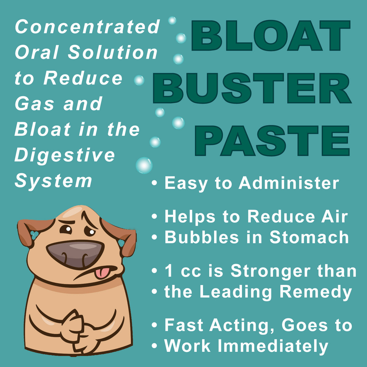 Dogzymes Bloat Buster Paste