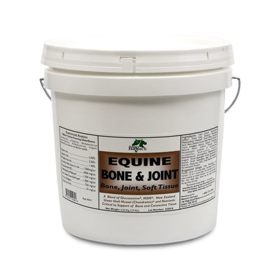 Equine Bone & Joint