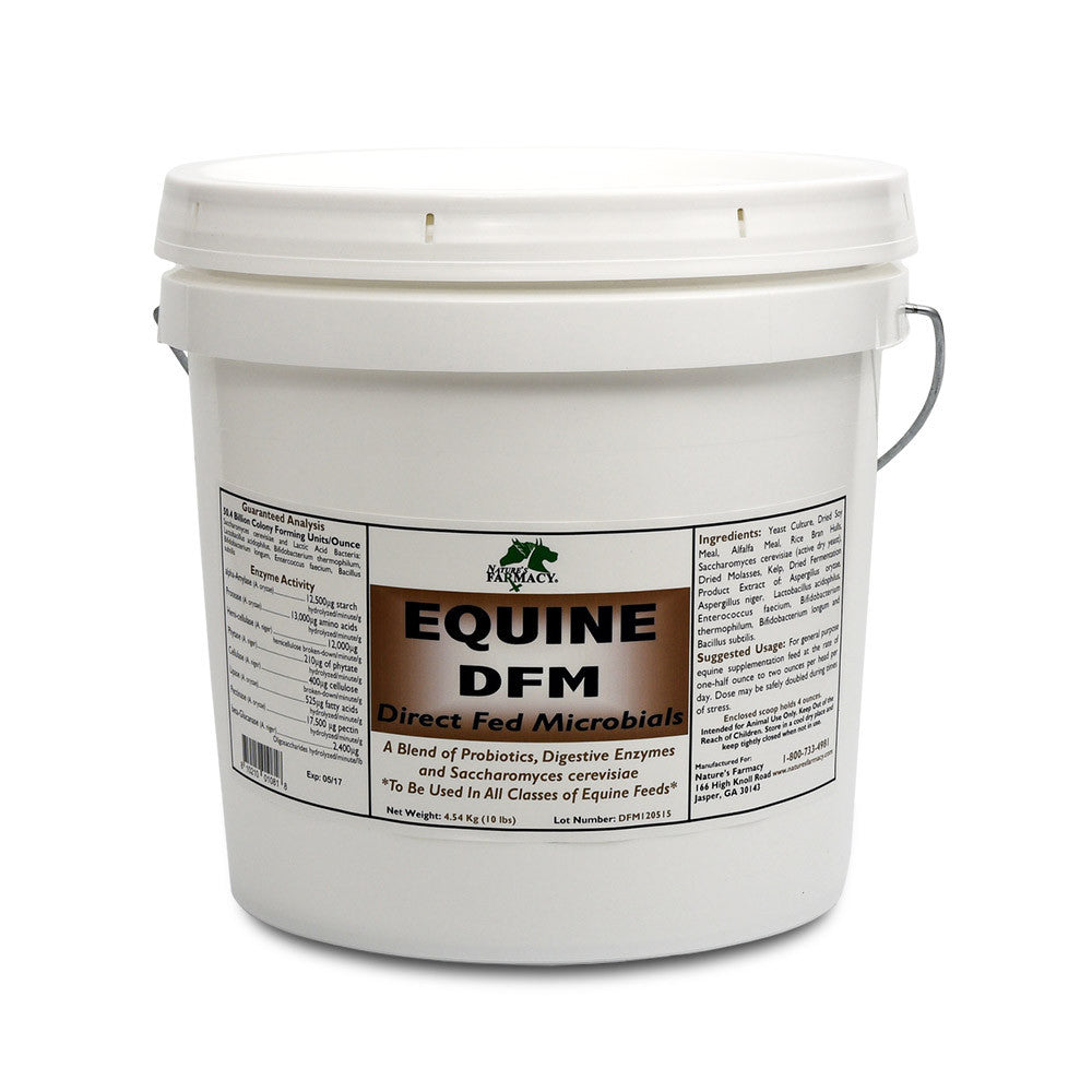 Equine DFM (Direct Fed Microbial)